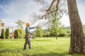 Best Grass Overseeding  in Armona, CA